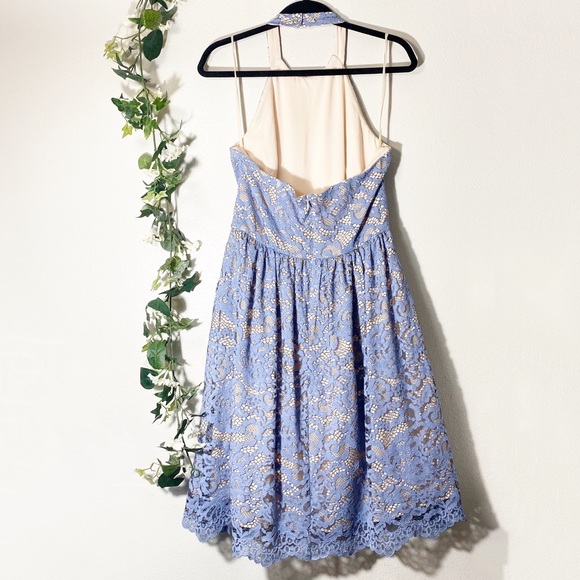 Eliza J Light Blue Lace Halter Fit & Flare Dress - Picture 3 of 7